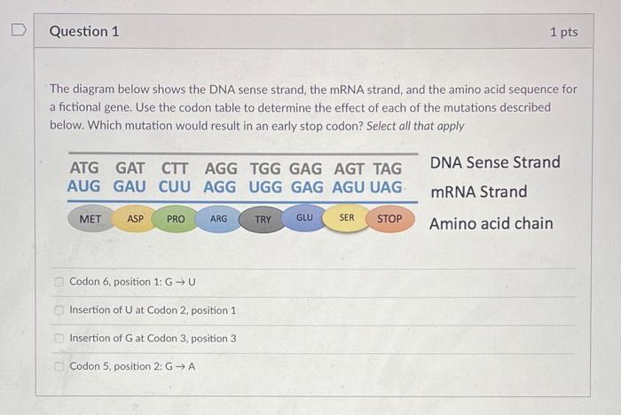 The Diagram Below Shows The Dna Sense Strand The Mrna Strand And The