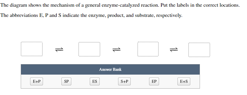 The Diagram Shows The Mechanism Of A General Enzymecatalyzed Reaction