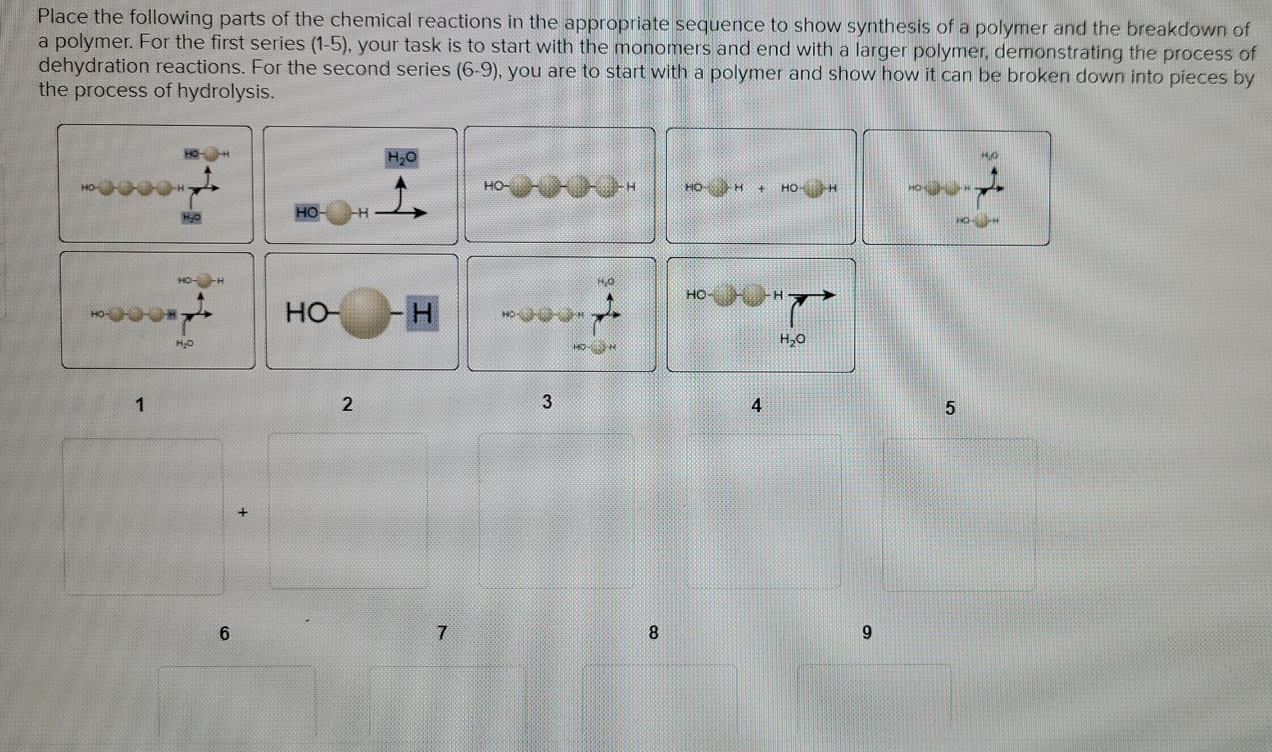 place the following parts of the chemical reactions in the appropriate