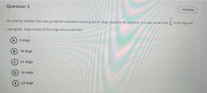 question 5 10 points 7 an animal shelter has two purebred labradors among the 8 - StudyX