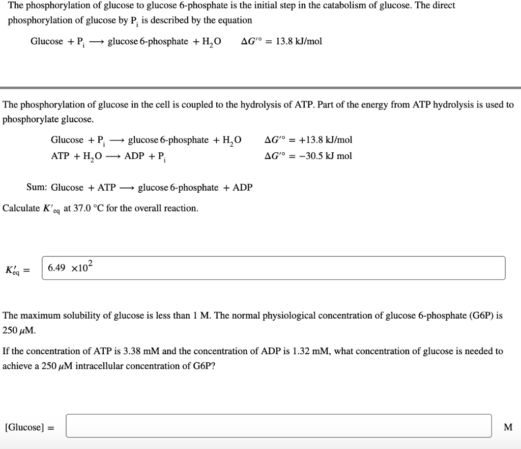 the-phosphorylation-of-glucose-to-glucose-6phosphate-is-the-initial