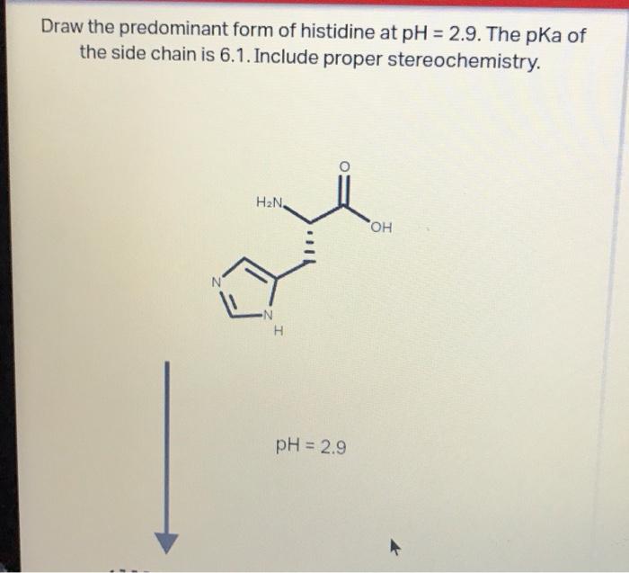 draw the predominant form of histidine at mathrmph29 the mathrmpka of