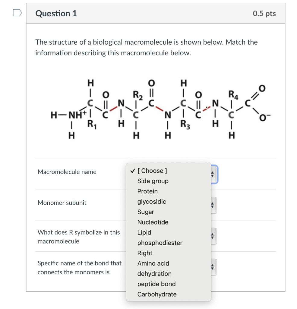 the-structure-of-a-biological-macromolecule-is-shown-below-match-the