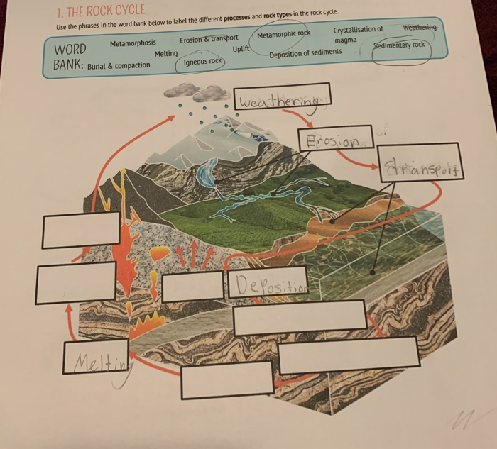 1-the-rock-cycle-use-the-phrases-in-the-word-bank-below-to-label-the-different-studyx