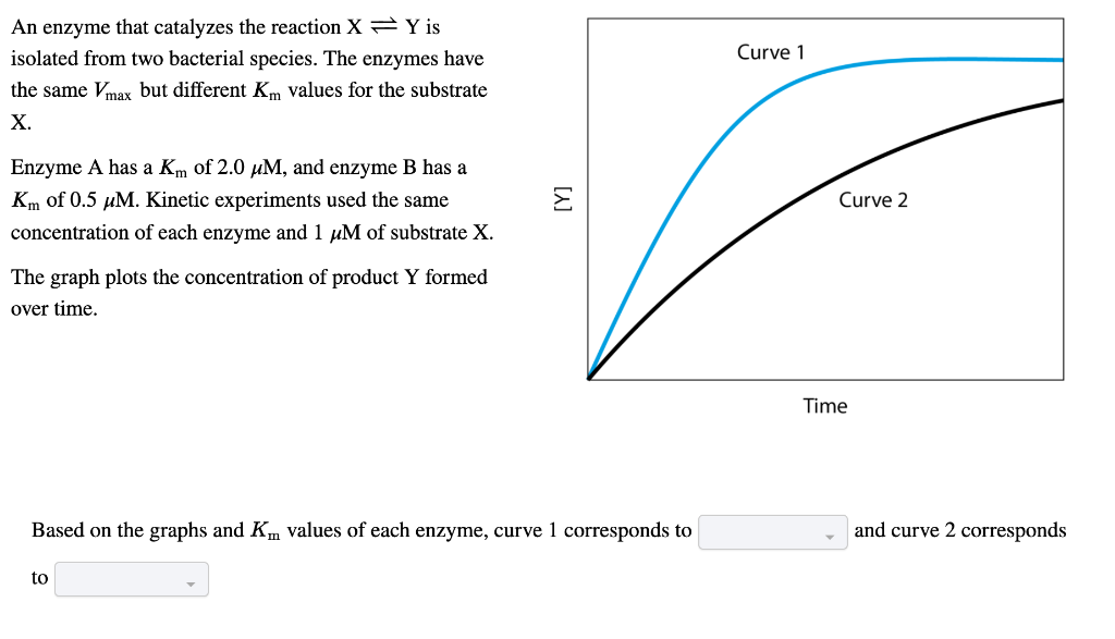 the km of an enzyme is 50 mm calculate the substrate concentration when