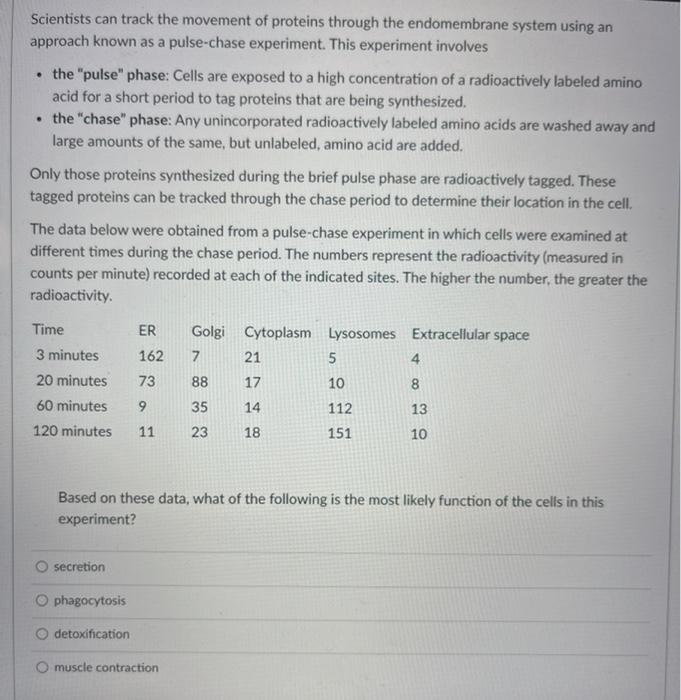 scientists can track the movement of proteins through the endomembrane