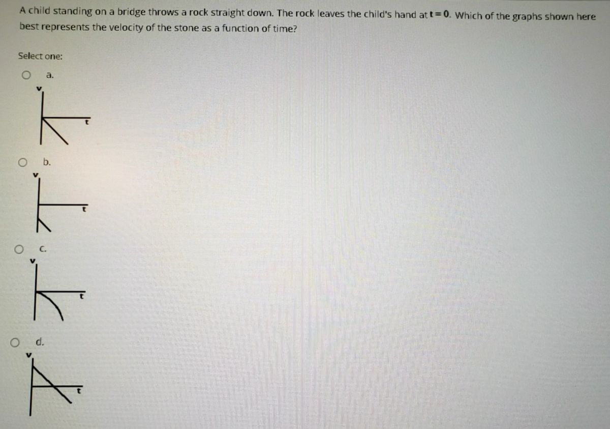 a child standing on a bridge throws a rock straight down the rock