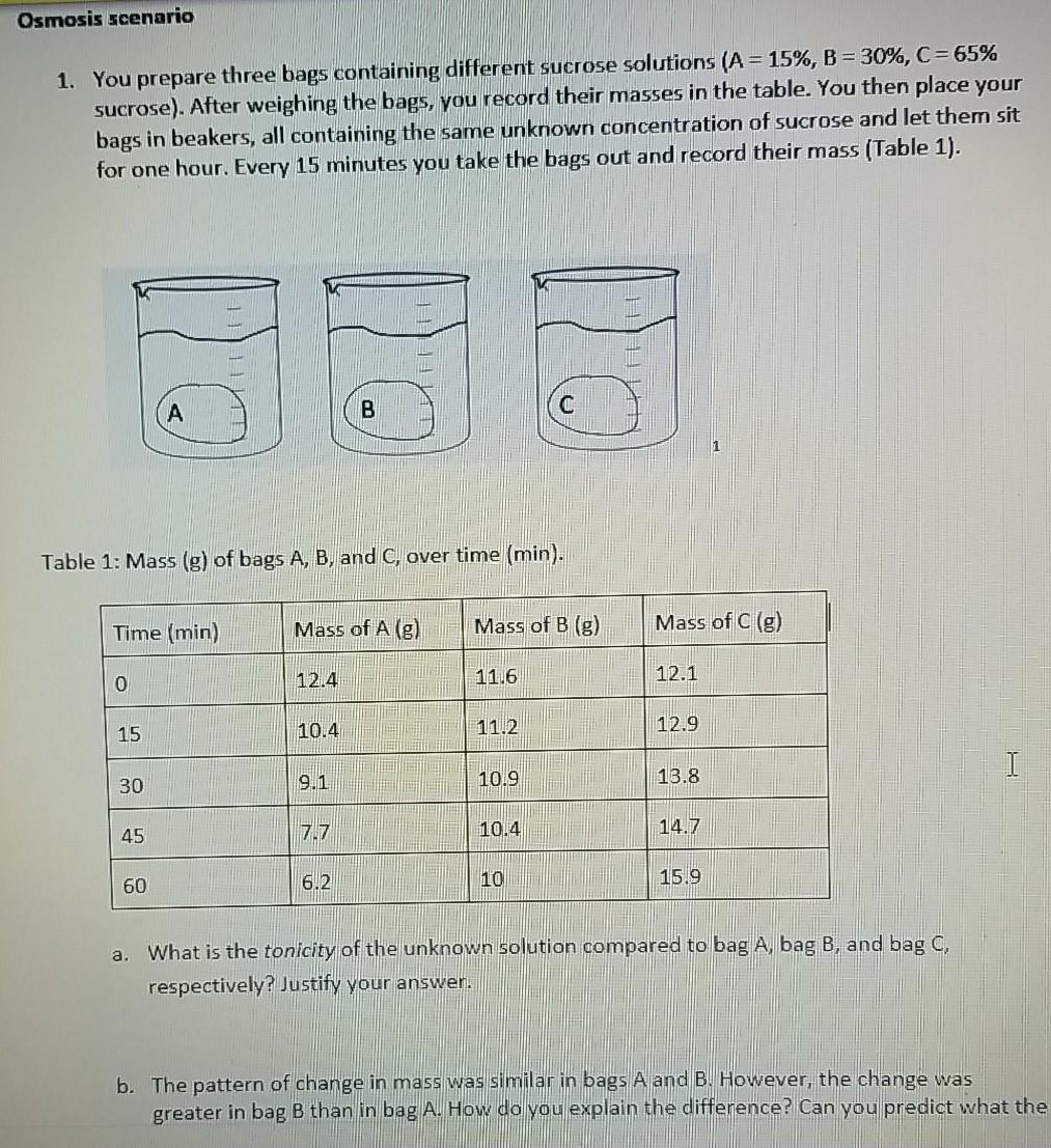 osmosis-scenario-1-you-prepare-three-bags-containing-different-sucrose